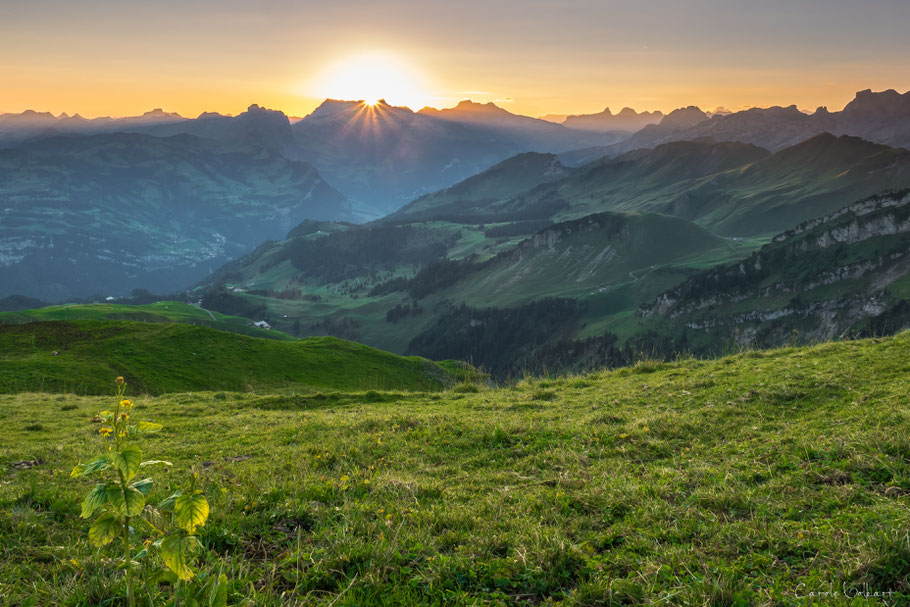 Sonnenaufgang auf dem Fronalpstock