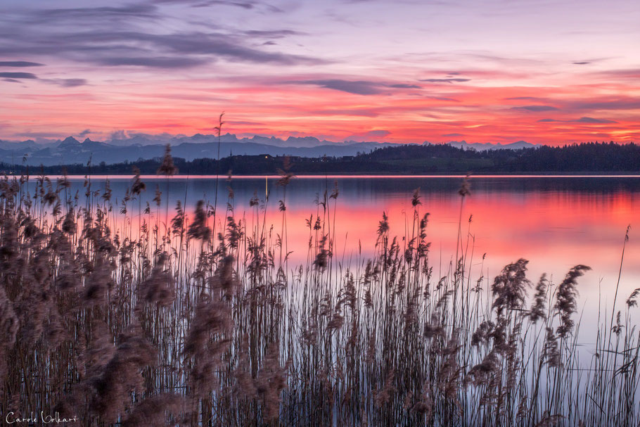 Sonnenuntergang am Pfäffikersee