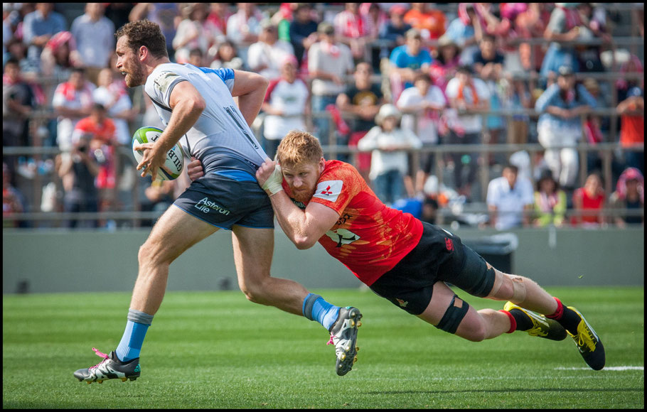 Quirk in action against Western Force - another side cut from Super Rugby - John Gunning Inside Sport: Japan, May 7, 2016