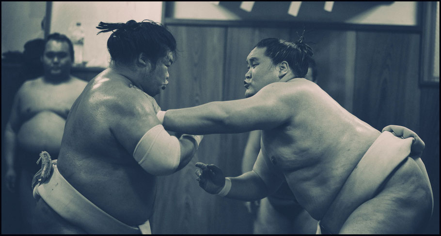 Ozeki Terunofuji (right) trains with Homarefuji — John Gunning, Inside Sport: Japan, Feb 7th, 2017