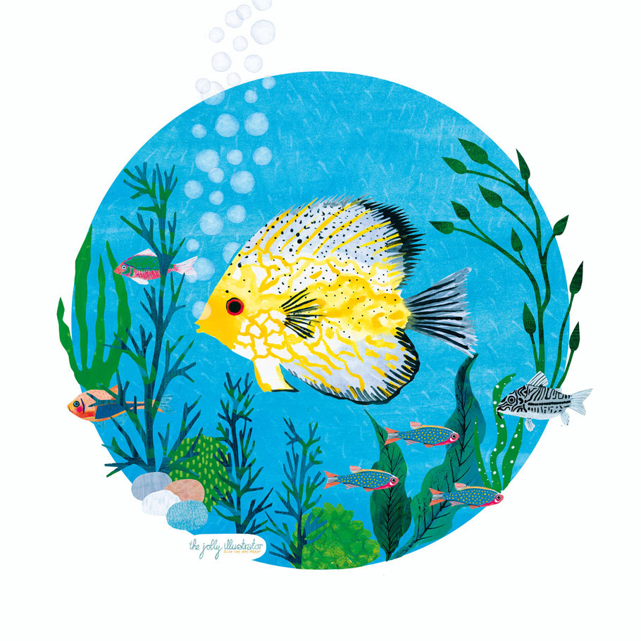 fresh water discus fish, mixed media illustration by the jolly illustrator