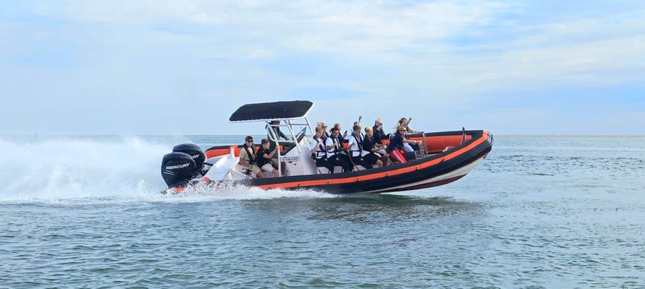 Onderweg naar de zeehonden in de snelle RIB-boot