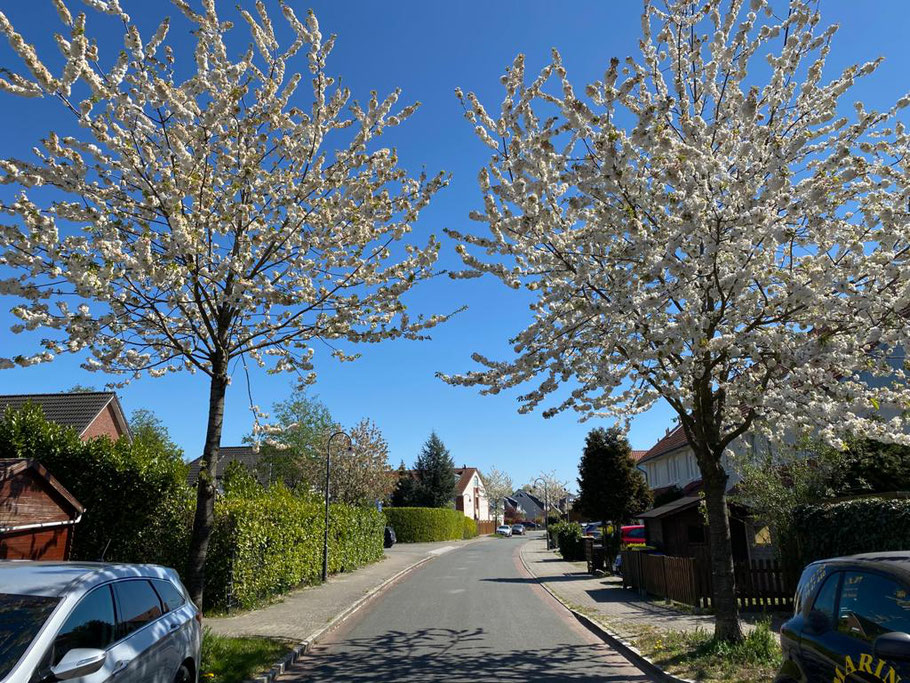 Blick in die Beta-Isenberg-Straße von der Albert-Schweitzer-Straße, Bremen Obervieland (Foto: 21.04.2020, Jens Schmidt)