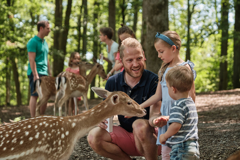 tripsdrill familien paradies wildparadies urlaub