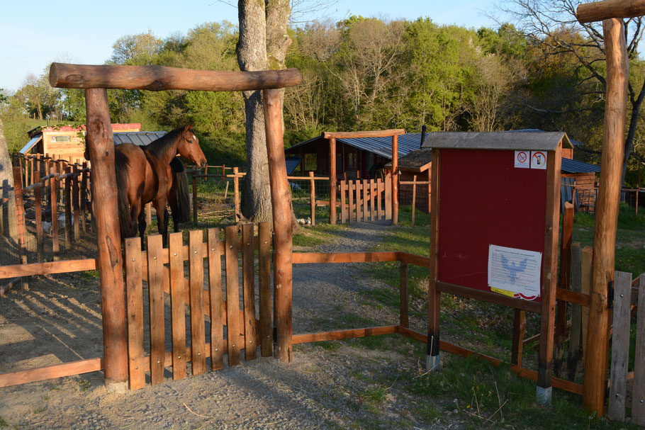 ferme bashkir cosaque vie nature ancestrale autonomie