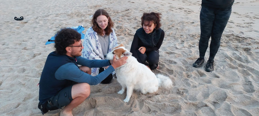 Ein netter, Pilgerfreundlicher Hund am Strand von Finisterre.
