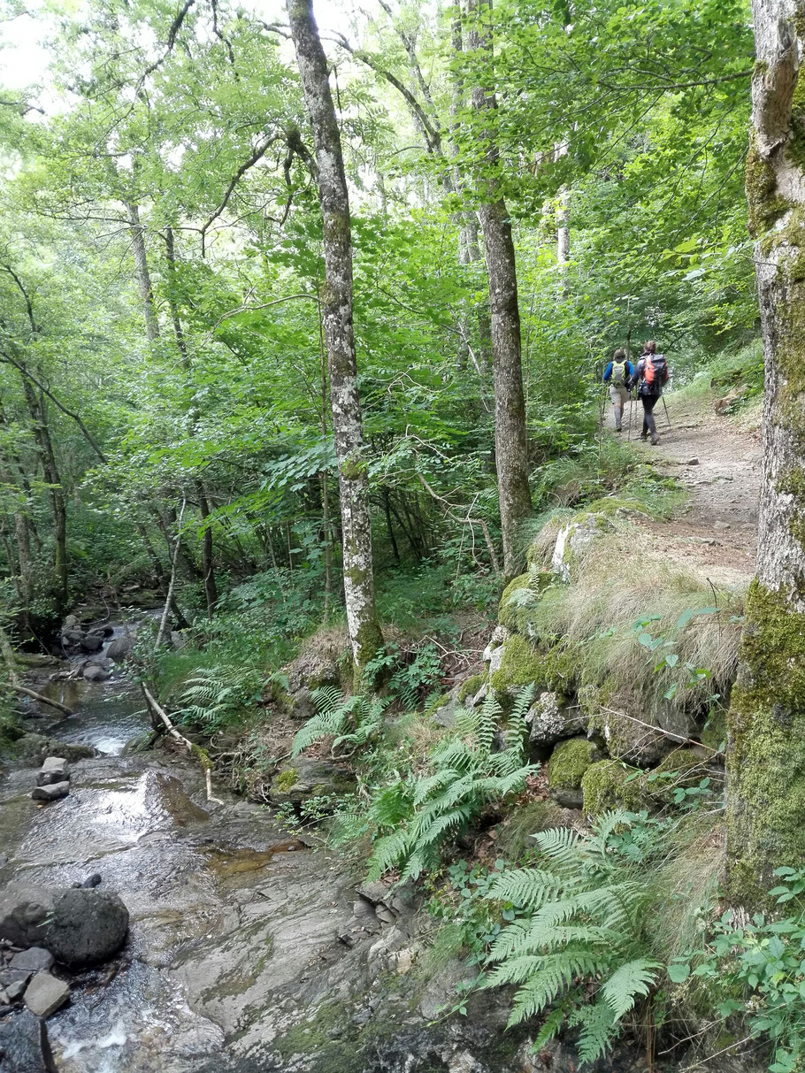 Auf der Via Podiensis