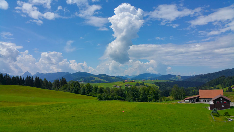 Ein Fußabdruck?