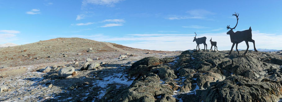 Dovrefjell, Norwegen