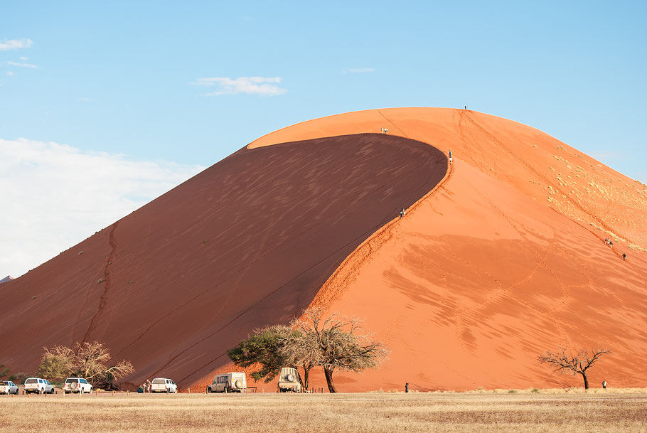 Dune 45, Düne, Sossusvlei, Wüste, Namibia