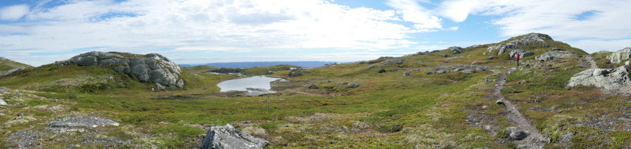 Vegglifjell, Norwegen