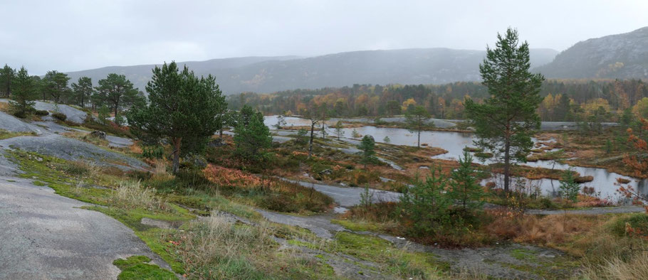 Tømmerneset, Norwegen