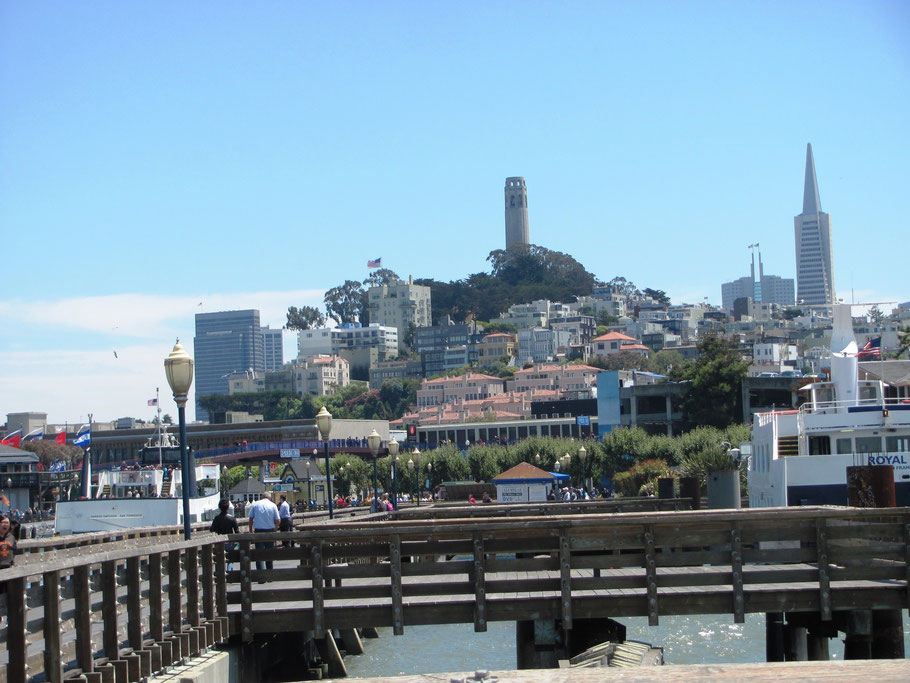 Au fond la Coit Tower et la Transamerica Pyramid