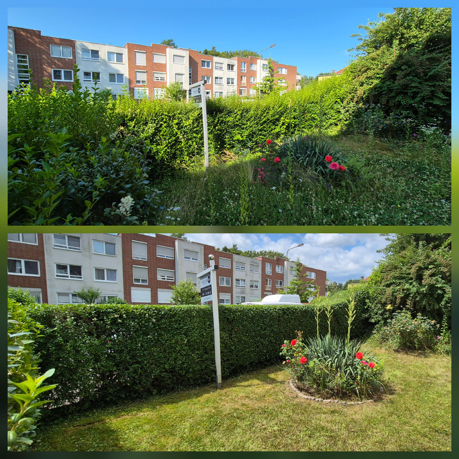 Hecke Pflastersteine 