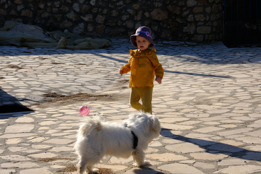 Romeo, der kleine Hund, ist auch dabei