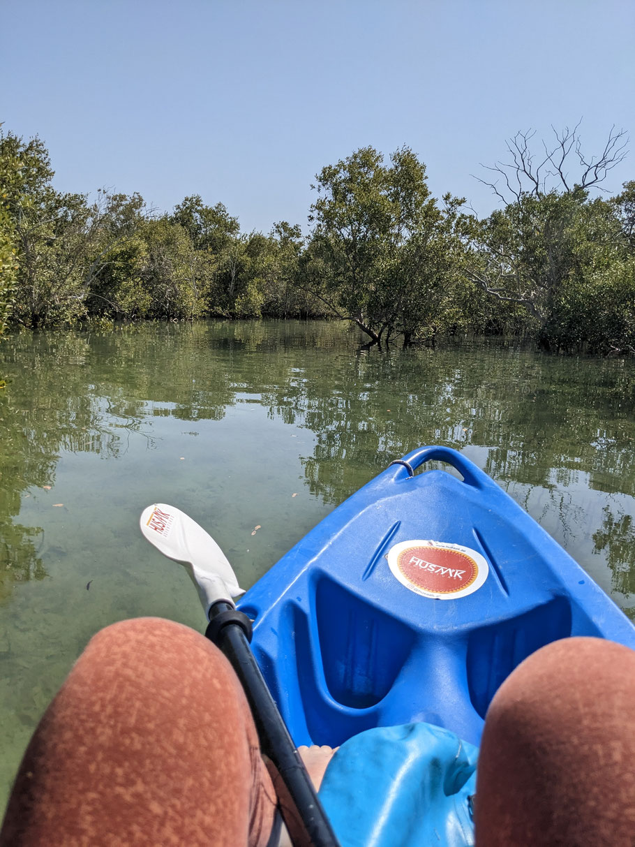 Kayak Adventure in the Mangroves