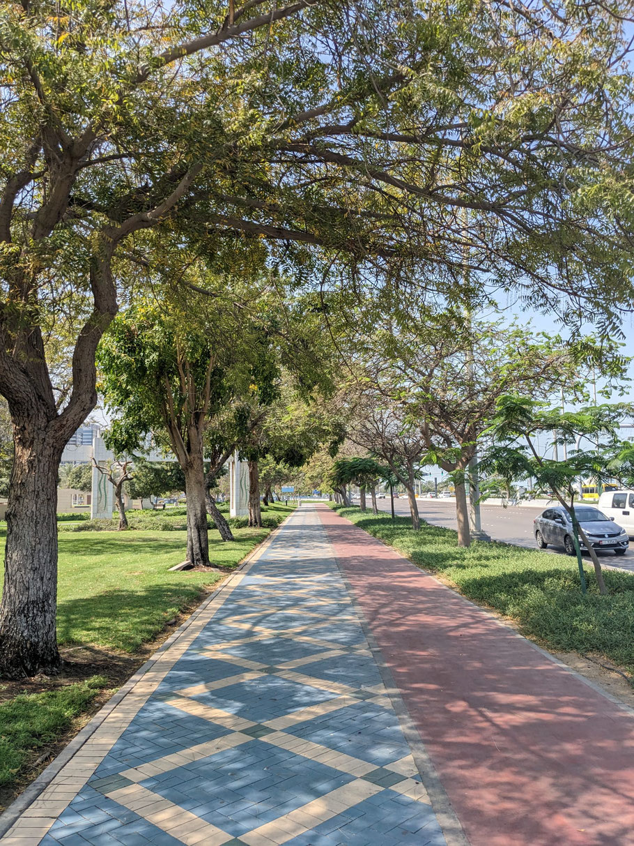 Perfect cycle lanes in Abu Dhabi 