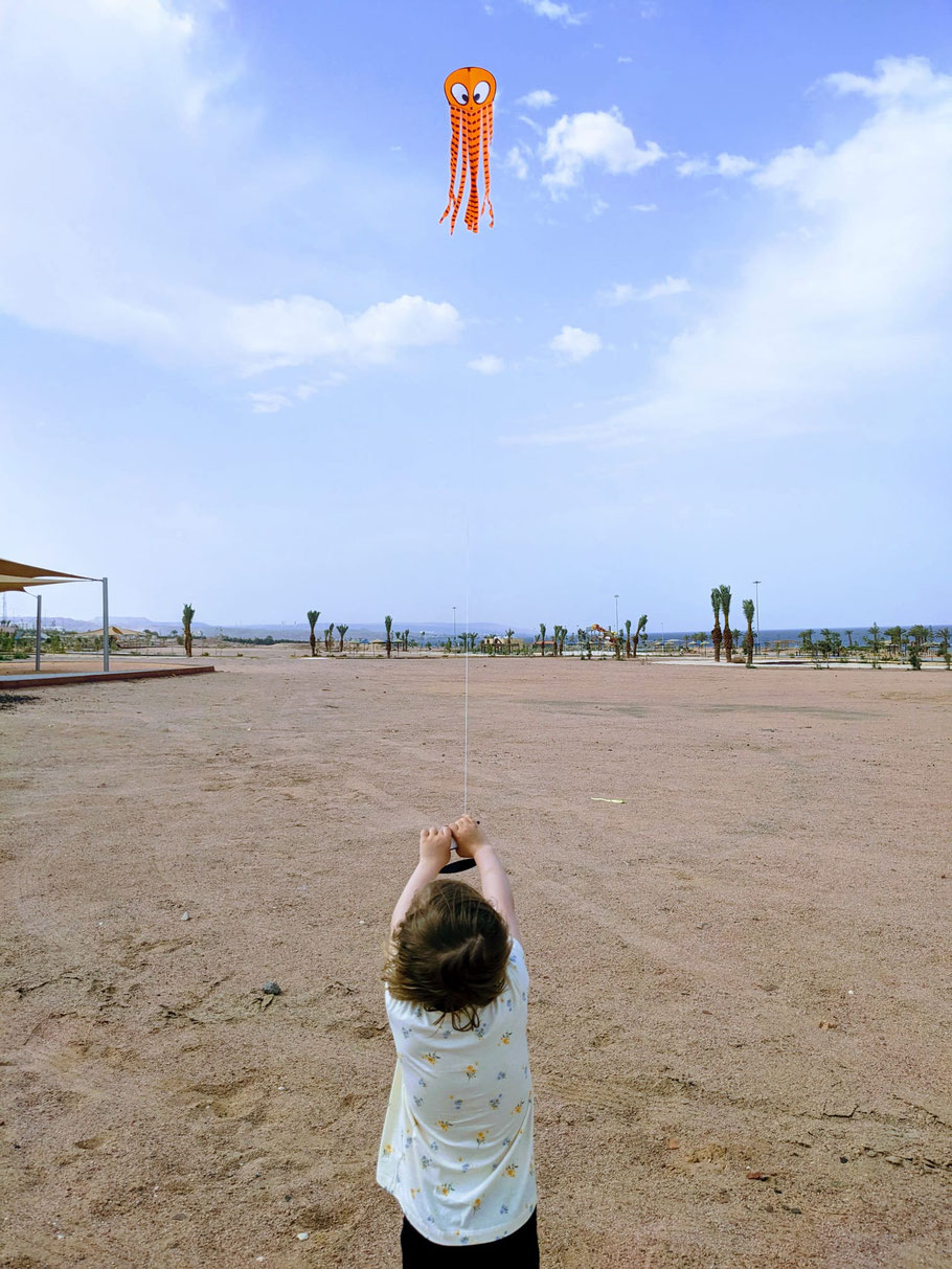 Kite flying at the South Beach playground 