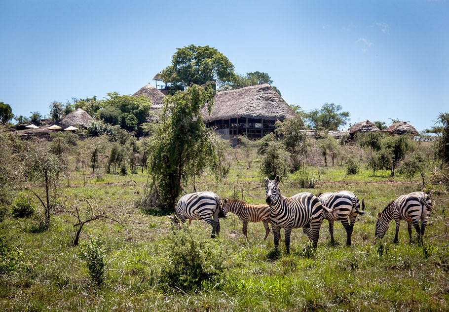 Apoka-Safari-Lodge.jpg