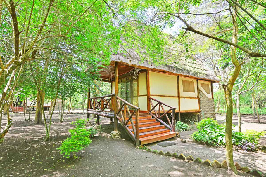 Ishasha-jungle-lodge.jpg