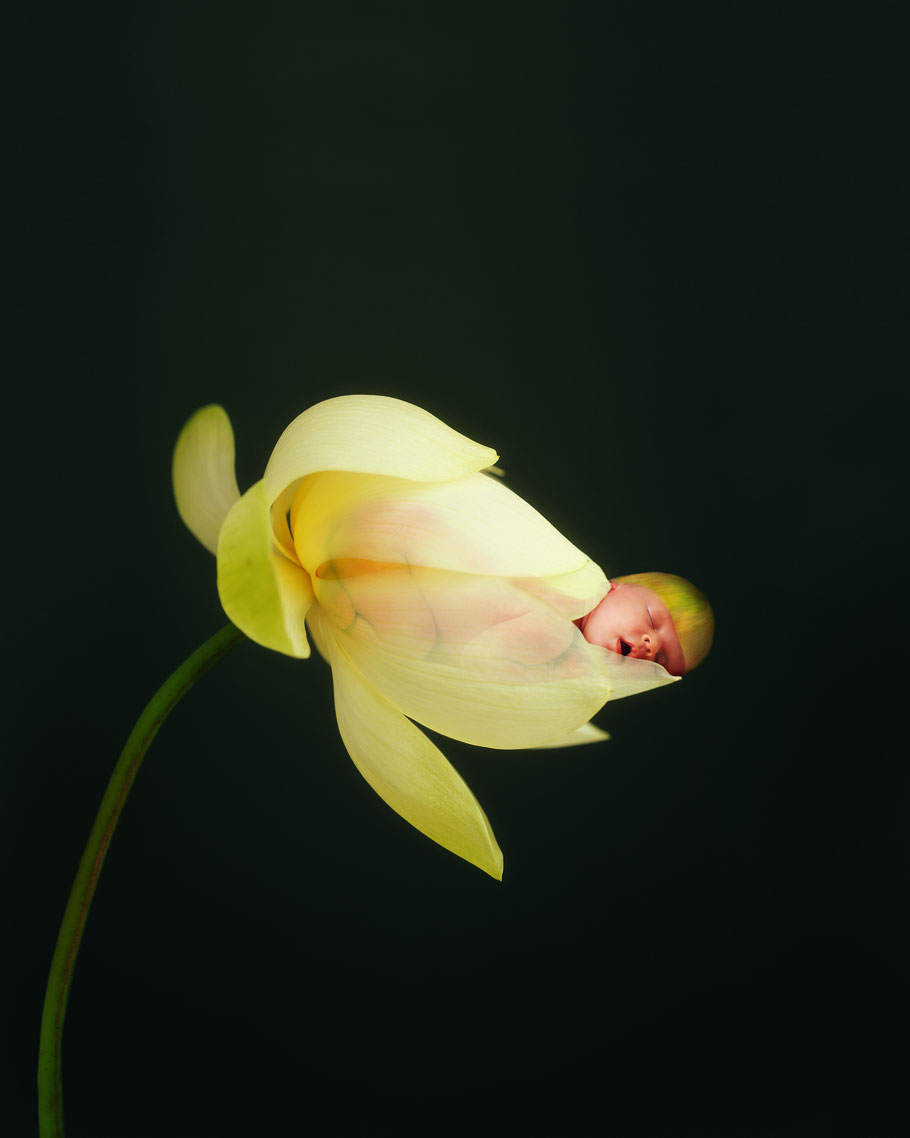 Savanna, 3 weeks, Auckland, 2003, S. 83, Taschen Verlag