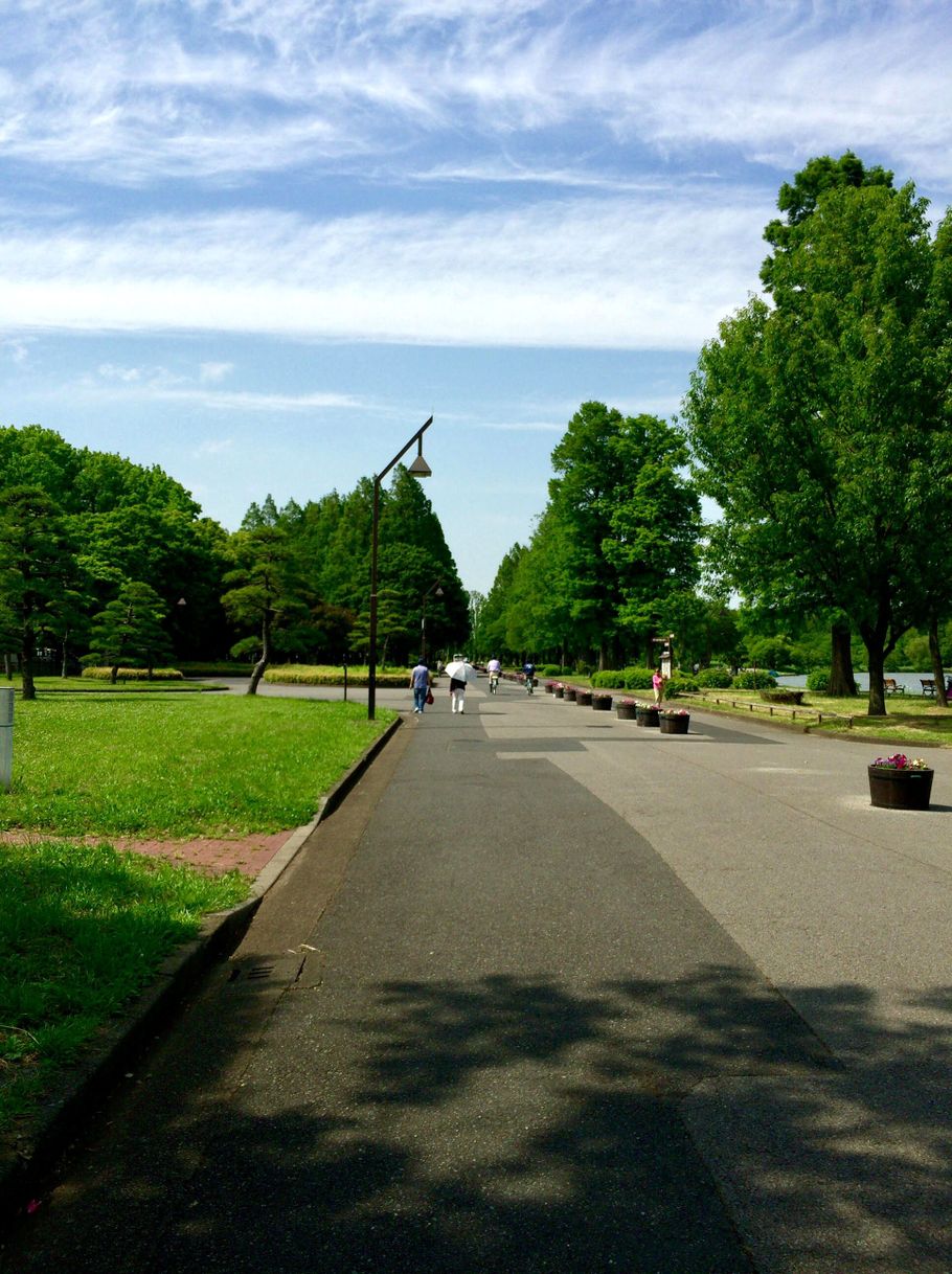 Mizumoto Park, Katsushika, Tokyo.