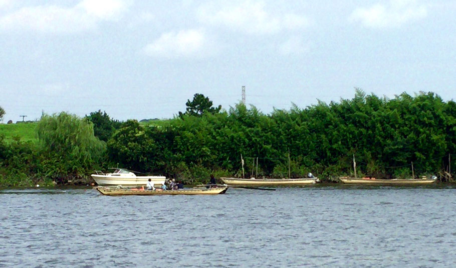 Yagiri No Watashi on the Edo river.