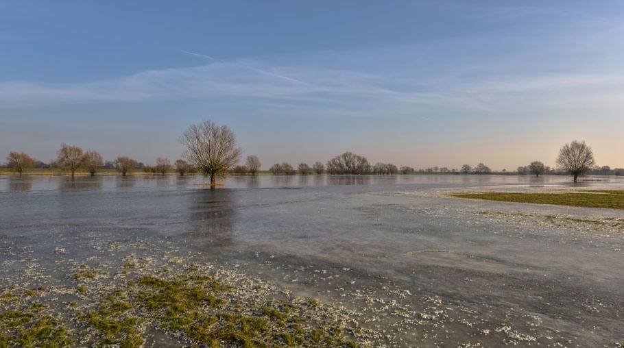 An der Jeetzel zwischen Hitzacker und Seerau