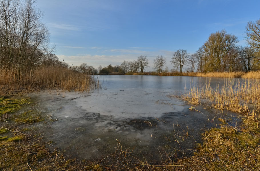 Der zugefrorene Weiher in Predöhlsau ...