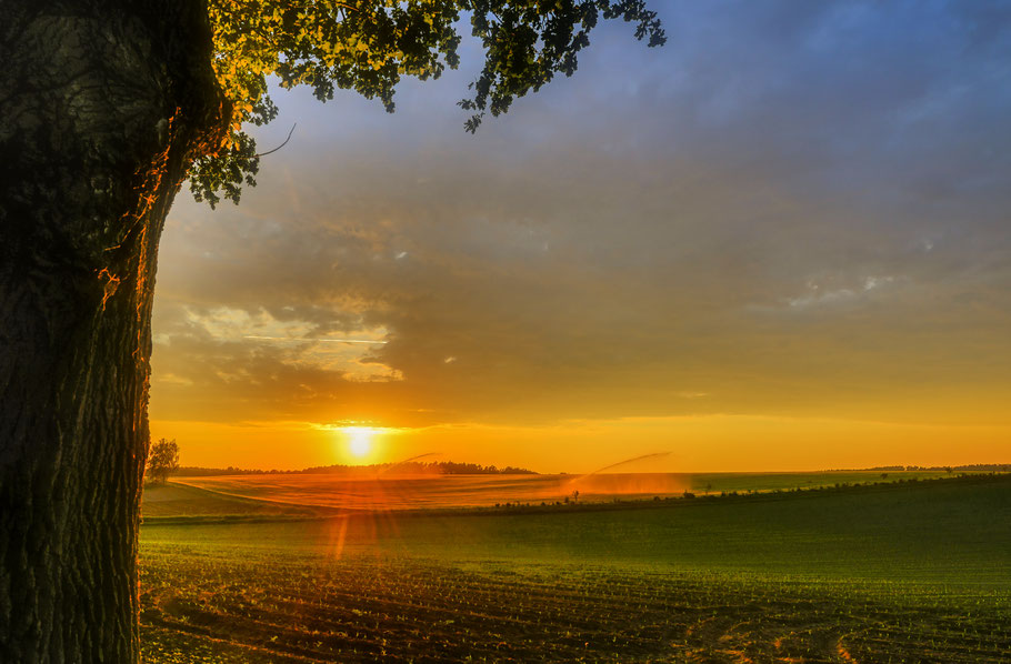 Sonnenuntergang über den Feldern bei Hitzacker an der Elbe