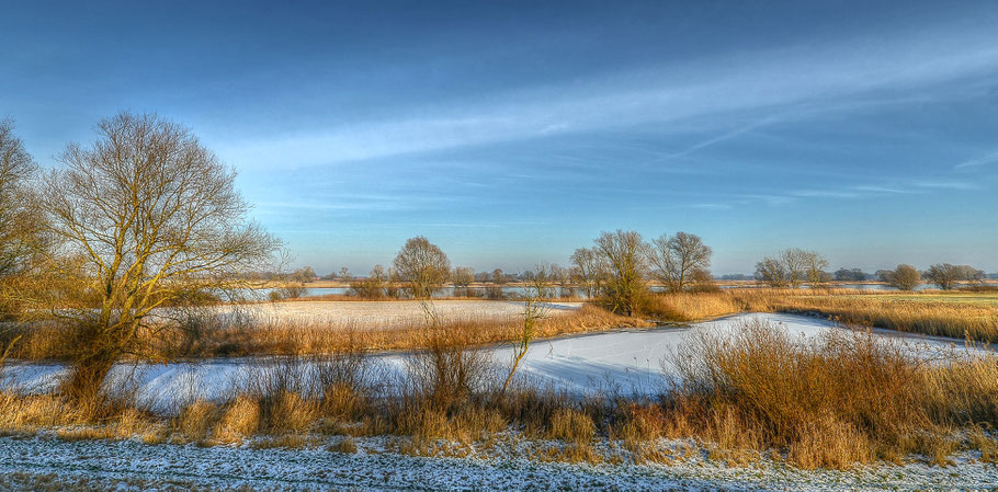 Winter an der Elbe zwischen Hitzacker und Wussegel