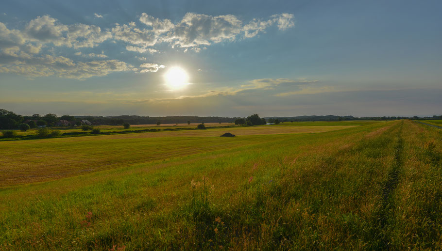 Sommerliche Abendstimmung in der Jeetzelniederung zwischen Seerau und Hitzacker an der Elbe