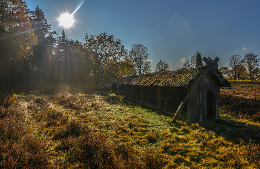 November in der Heide ...