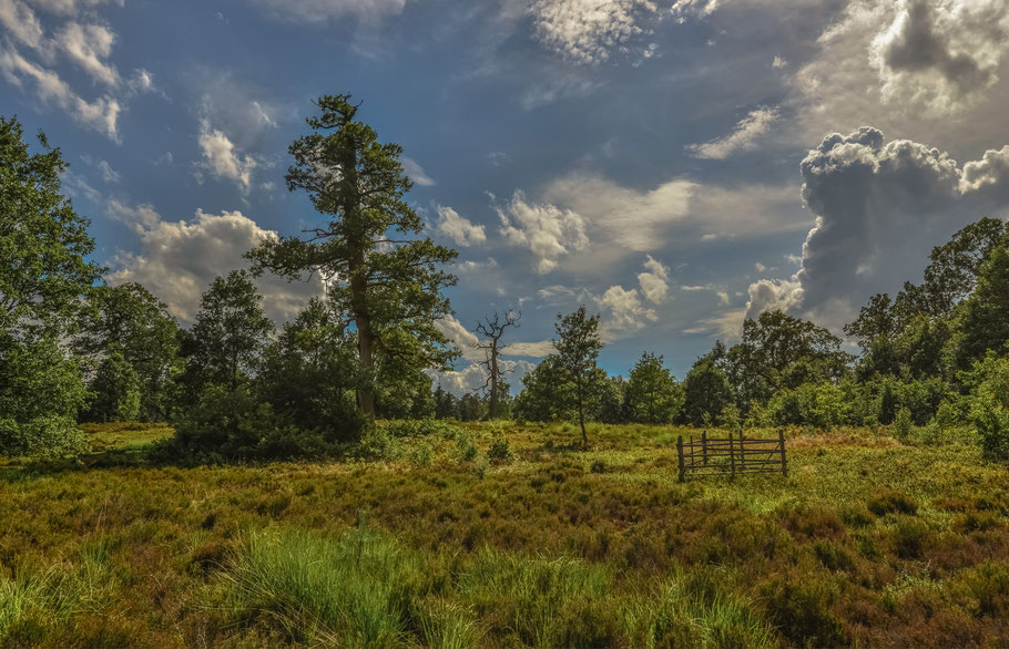 Naturschutzgebiet Breeser Grund 