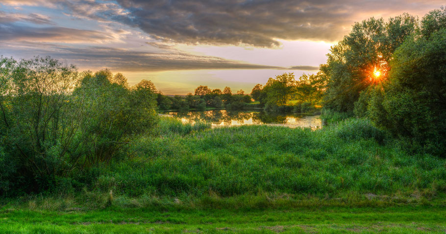 Sommerliche Abendstimmung an einem Weiher in Predöhlsau