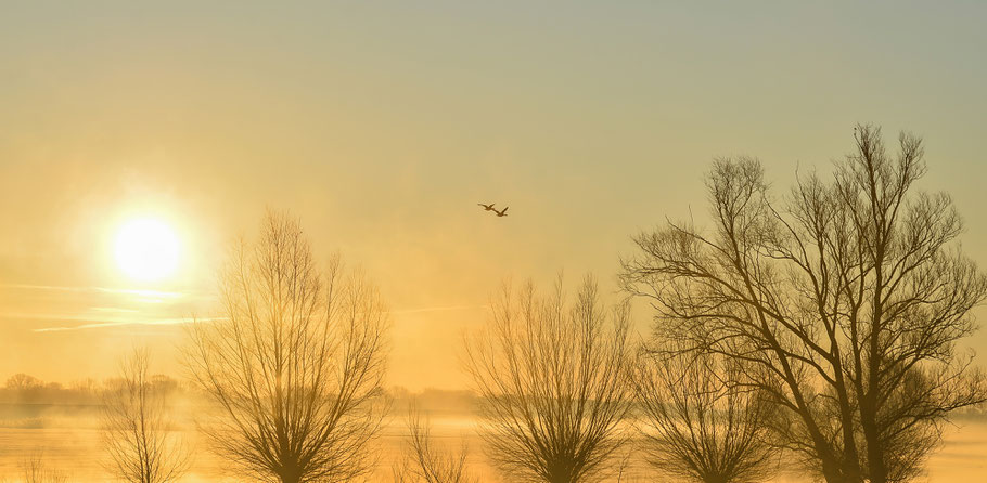 Sonnenaufgang in der Jeetzelniederung bei Hitzacker an der Elbe