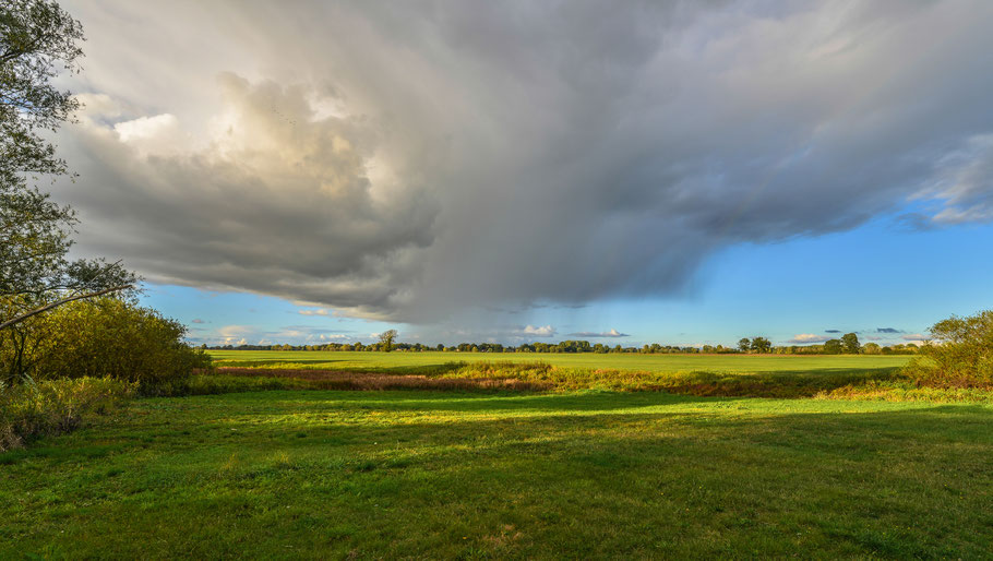 In den Elbwiesen bei Laase mit Blick auf eine Tiefdruckzelle über Unbesandten ( Mecklenburg Vorpommern )