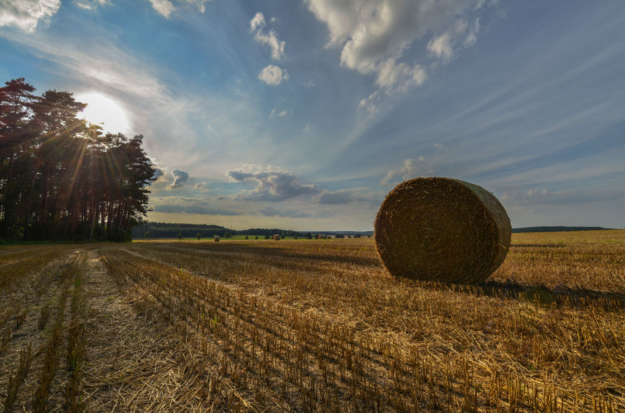 Erntezeit im Wendland ...