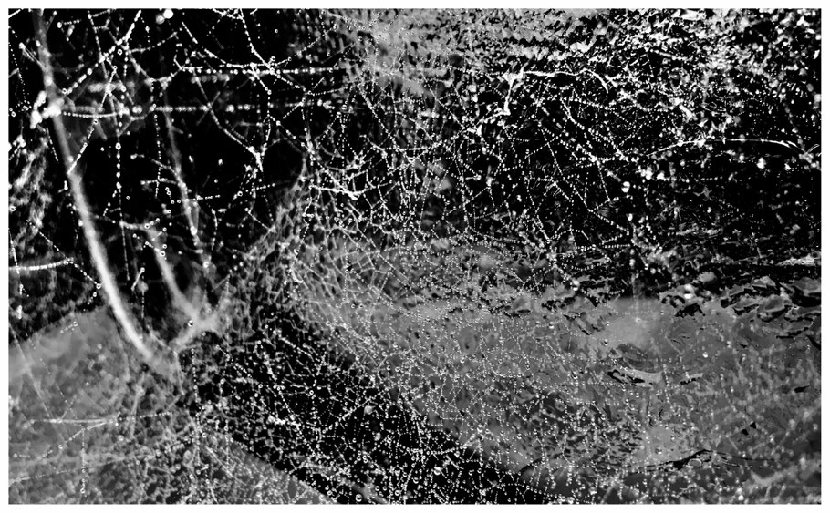 Modern spanish art, arpadi photos, Arpadiart.com
