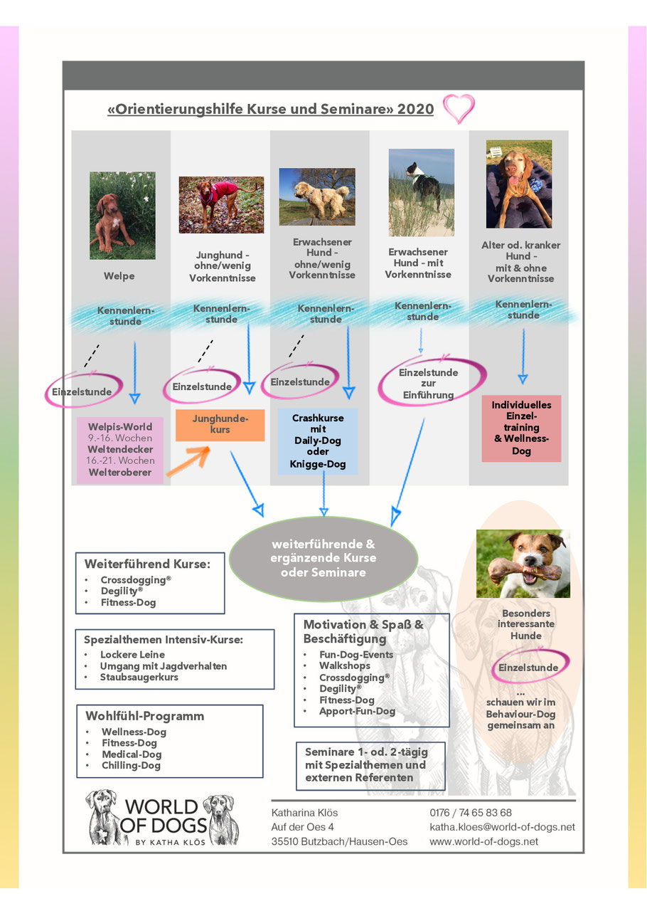 Hundeschule Butzbach, Wetterau, Pia Gröning, Welpenstunde, Junghundekurs, Anti-Jagdtraining, Jagdhunde, Socialwalks, Hundesport, Degility, Crossdogging, Hundetrainer