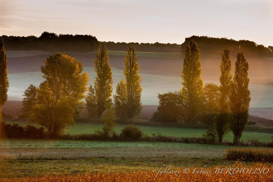 Projet St Epain / couleur de Toscane - octobre 2014