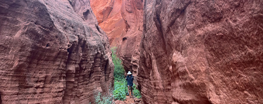 Red Rock Trail, Jemez Pueblo, New Mexico