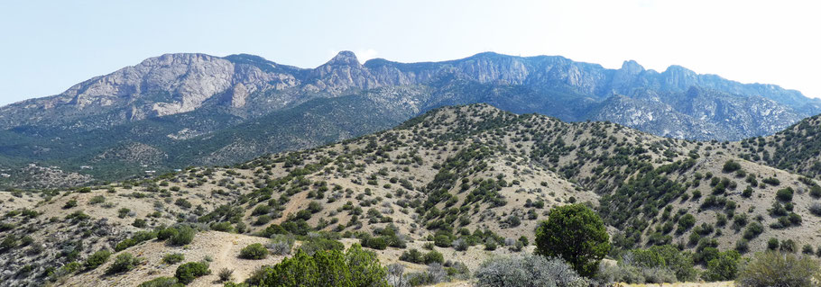 TWA Canyon in the Sandia Mountains - dogofthedesert