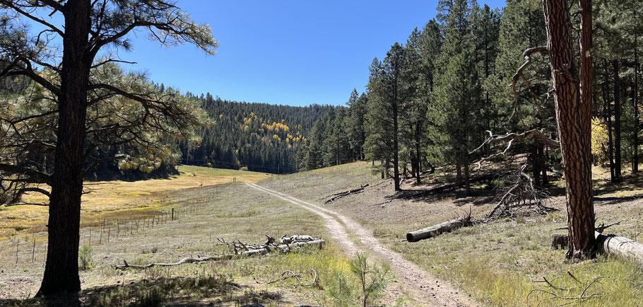 Rio Cebolla, Jemez Mountains, Santa Fe National Forest