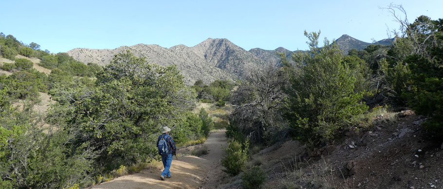 Forest Trail 2, Juan Tabo Canyon, Sandia Mountains, Cibola National Forest, New Mexico