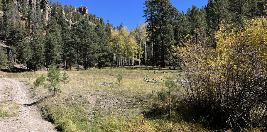 Rio Cebolla, Jemez Mountains, Santa Fe National Forest.