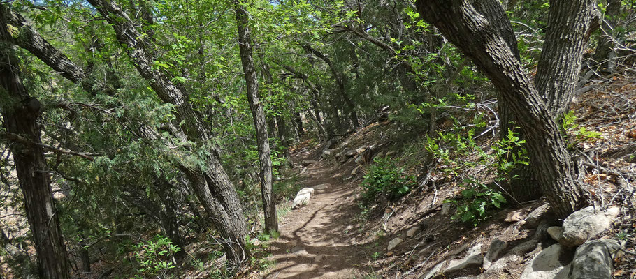 Ojito de San Antonio Open Space, Sandia Mountains, New Mexico