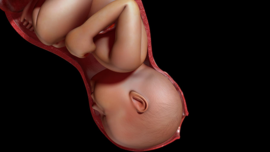 Während der Geburt nimmt das Baby Mikroben aus dem Vaginalkanal auf. Bild: Adobe Stock.