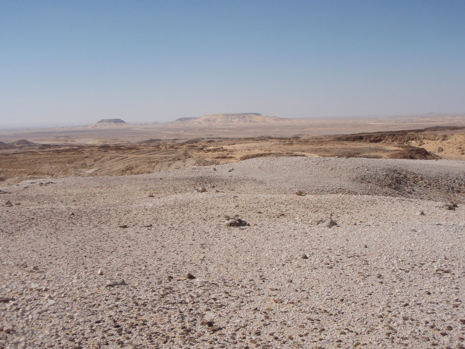 Khargan outlook workshops (dark patch) on top of high Railroad Gebel at Midauwara Area, Locality MD-028.  Looking west to Kharga depression, with dark tufa deposits in middle ground.(Photo M. F. Wiseman, 2008).