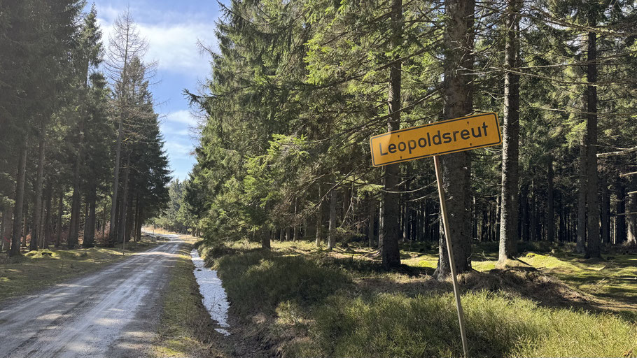 Das untergegangene Dorf Leopoldsreut an der heutigen Grenze zur Tschechischen Republik: Dieser Ort und seine Umgebung waren ein regionaler Arbeitsschwerpunkt von Hans Fehn in den 1930er Jahren. Foto: Patrick Reitinger